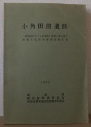 小角田前遺跡 一般国道17号(上武道路)改築工事に伴う埋蔵文化財発掘調査報告書
