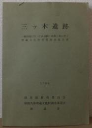 三ッ木遺跡　 一般国道17号(上武道路)改築工事に伴う埋蔵文化財発掘調査報告書
