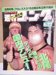 週刊ゴング　　1989年6月22日　No.261