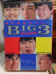 全日本男子バレーBIG３あんちょこBOOK