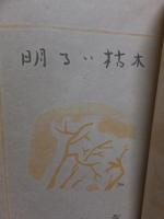歌集　明るい枯木 