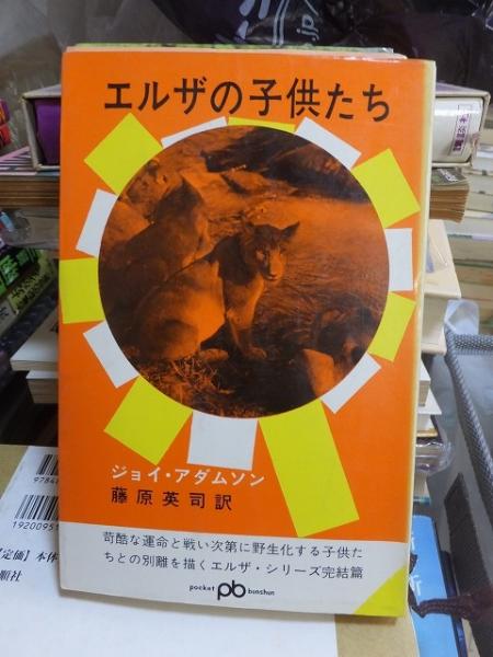 おもしろブック 昭和30年6月号 手塚・山川・杉浦 / 高崎古書