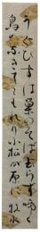 短冊　若山牧水