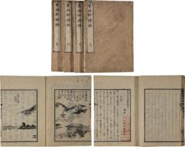 翠雨軒詩話