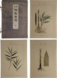 坪井竹類図譜