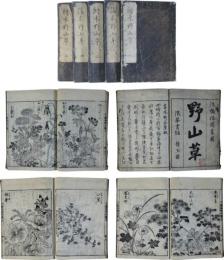 絵本野山草