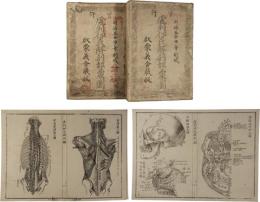 虞列伊氏解剖訓蒙図