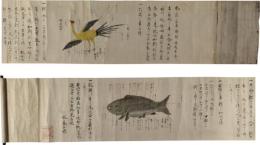 巻物　鳥鯉口伝之事