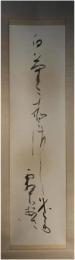 掛軸　中村龍石　「白菊」