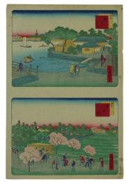 錦絵　椛はし、隅田堤