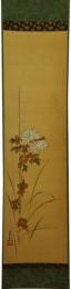 掛軸　雛屋立圃　「菊」