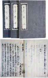 昼寝の夢