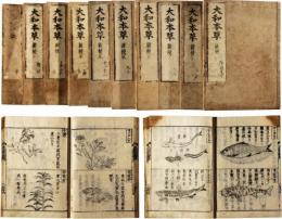 大和本草