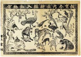 教育参考最新輸入動物会