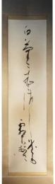 掛軸　中村龍石　「白菊」