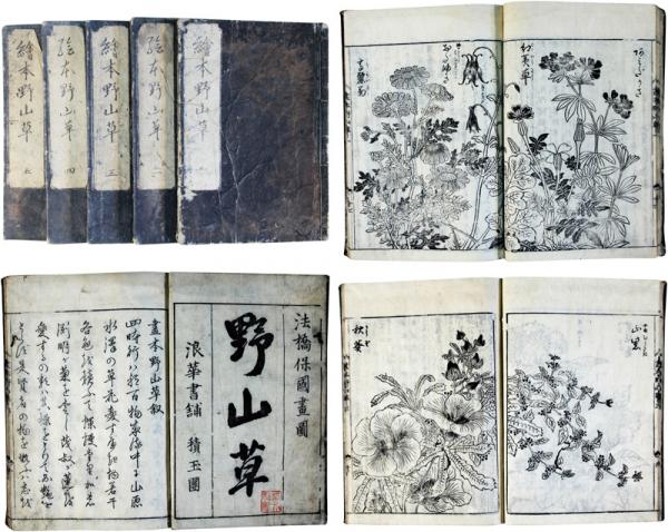 書画真正落款譜(長野市真撰堂) / 福地書店 / 古本、中古本、古