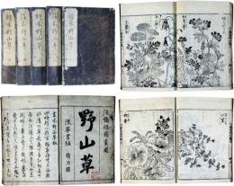 絵本野山草
