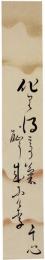 短冊　岩波午心