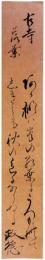 短冊　天野政徳