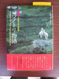 写真集　コウノトリ物語　日本最大の大型野鳥　　ほろびゆくものはうつくしい