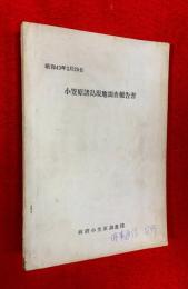 小笠原諸島現地調査報告書