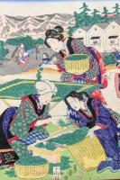 蚕養ひくさ　　蚕養い草