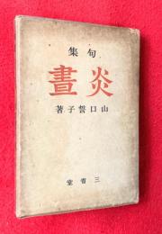 炎昼 : 第三句集