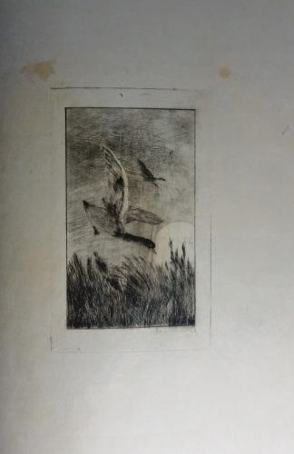 ビゴー銅版画集 おはよ OーHA-YO(G.BIGOT/ビゴー) / 智新堂書店 ビゴー銅版画集 おはよ OーHA-YO(G.BIGOT/ビゴー) / 智新堂書店
