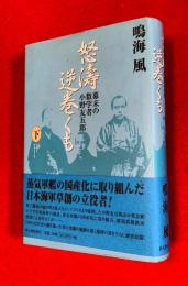 怒濤逆巻くも : 幕末の数学者小野友五郎
