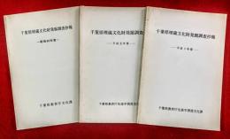 千葉県埋蔵文化財発掘調査抄報　：昭和６３年度・平成元年・平成３年度