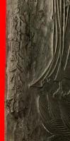 版木　：信濃国佐久郡平林村・平林山津金寺千手院