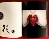 荒木経惟 : 花人生