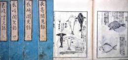 長崎聞見録 全5巻揃(廣川獬) / 古本、中古本、古書籍の通販は「日本の