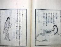 長崎聞見録 全5巻揃(廣川獬) / 古本、中古本、古書籍の通販は「日本の