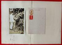 書窓　：夢二追憶特輯