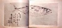 明治九年丙子五月　東行写真