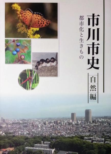 市川市史 市川市史自然編編集委員会編 智新堂書店 古本 中古本 古書籍の通販は 日本の古本屋 日本の古本屋