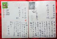 武田泰淳葉書　８通