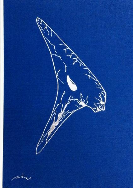 十代のエスキース(石原慎太郎 著) / 古本、中古本、古書籍の通販