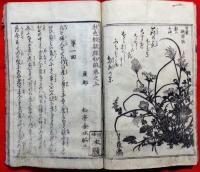 秋色紋朝顔　（貞操園朝顔）　初編上・中・下、二編上・中・下　貞操園朝顔　三編上・中・下