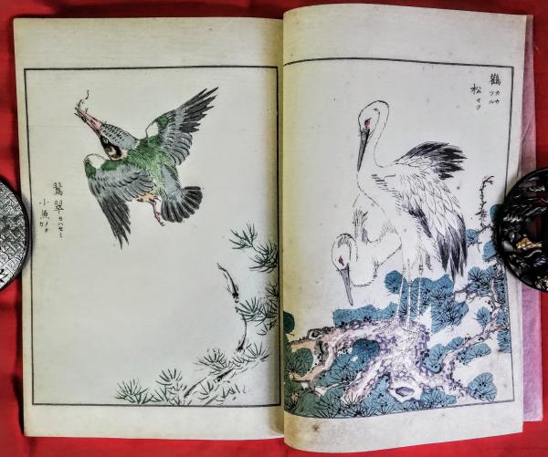 花鳥画粋(沼田荷舟 著) / 古本、中古本、古書籍の通販は「日本の古本屋