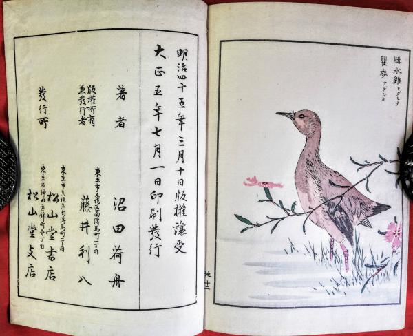 花鳥画粋(沼田荷舟 著) / 古本、中古本、古書籍の通販は「日本の古本屋
