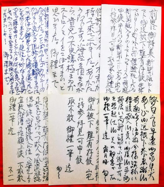 加藤郁乎書簡(加藤郁乎 ) / 書肆 田髙 / 古本、中古本、古書籍の