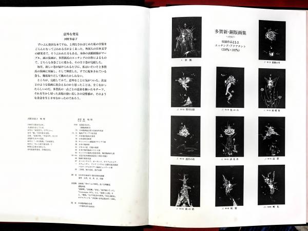 多賀新・銅版画集(多賀新) / 古本、中古本、古書籍の通販は「日本の