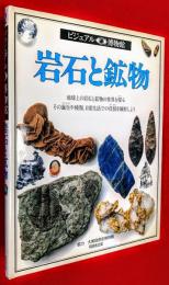 岩石と鉱物 : 地球上の岩石と鉱物の物語 その誕生や種類、日常生活での使われ方を探る
