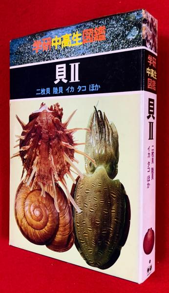 二枚貝 陸貝 イカ タコほか 波部忠重監修 智新堂書店 古本 中古本 古書籍の通販は 日本の古本屋 日本の古本屋
