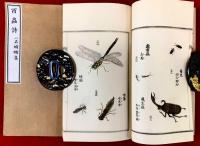 百蟲詩畫 : 一名蠕蠕集