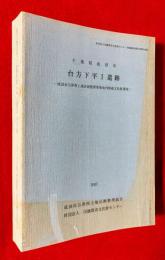 台方下平1遺跡　発掘調査報告書