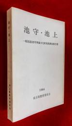 池守・池上 : 一般国道125号埋蔵文化財発掘調査報告書