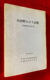 矢田野エジリ古墳 : 発掘調査報告書